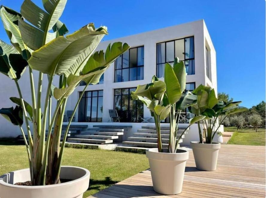 Yuca * BALEARIC ISLANDS